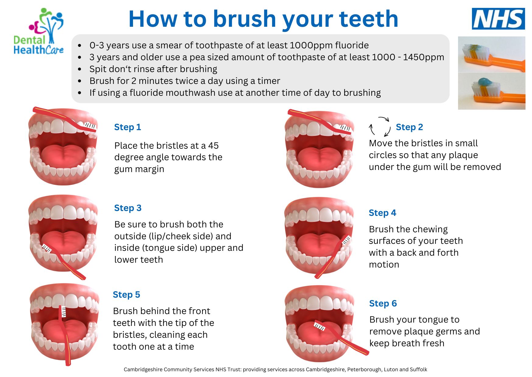 How to brush your teeth