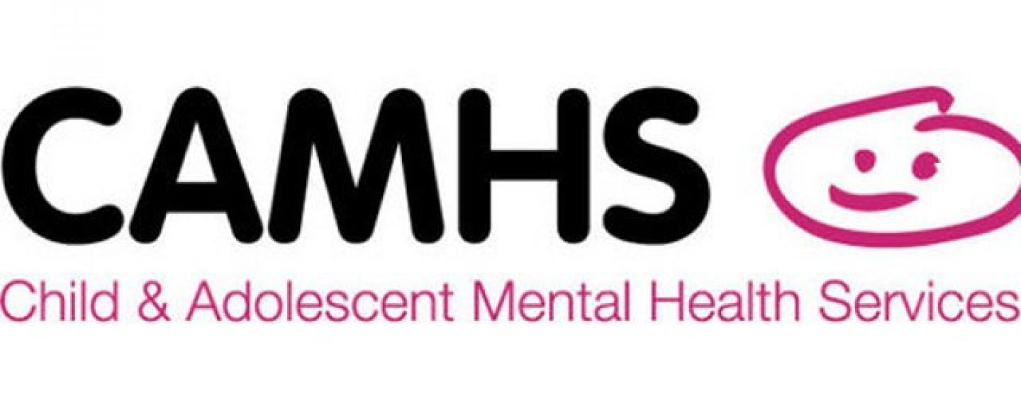 What Is Camhs Mental Health Service